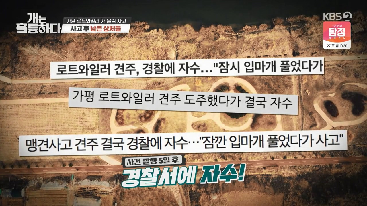 개는 훌륭하다 맹견의 습격 가평 로트와일러 개물림 사고 - 짤티비