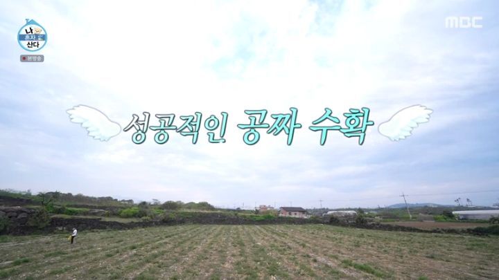 [나혼자산다] 양파 주워 먹다 죽을 뻔한 곽도원 - 짤티비