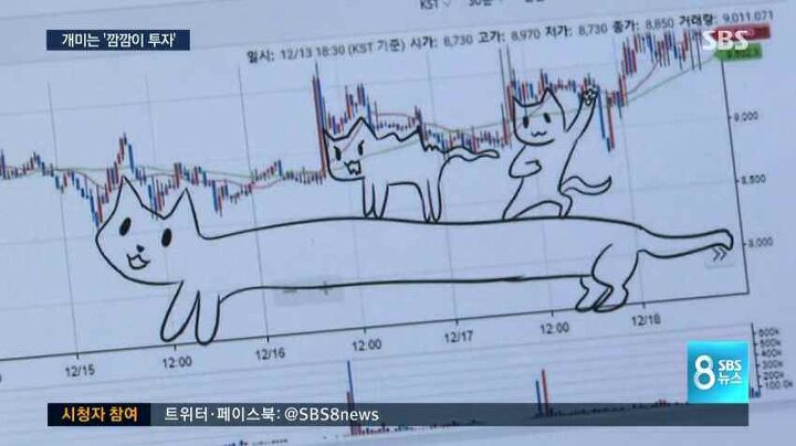 지상파 입성한 그래프 - 짤티비