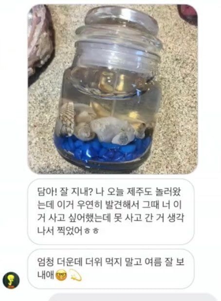 효리네민박 출연한 일반인 출연자가 처음으로 공개한 아이유 일화 - 꾸르