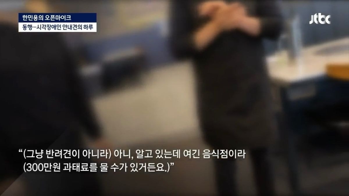 밥 먹으려다 하루에 7번 거절당하는 안내견의 하루 - 꾸르