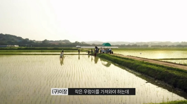 EBS에서 할수 있는 최대한의 드립