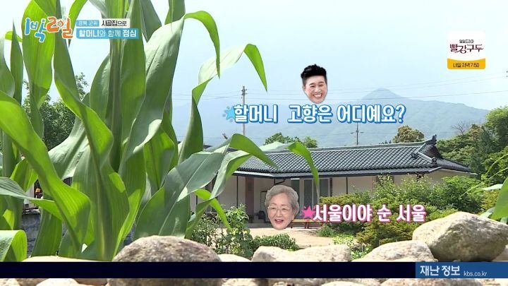 [1박2일] 우미관도 가본 김영옥 할머니 - 짤티비