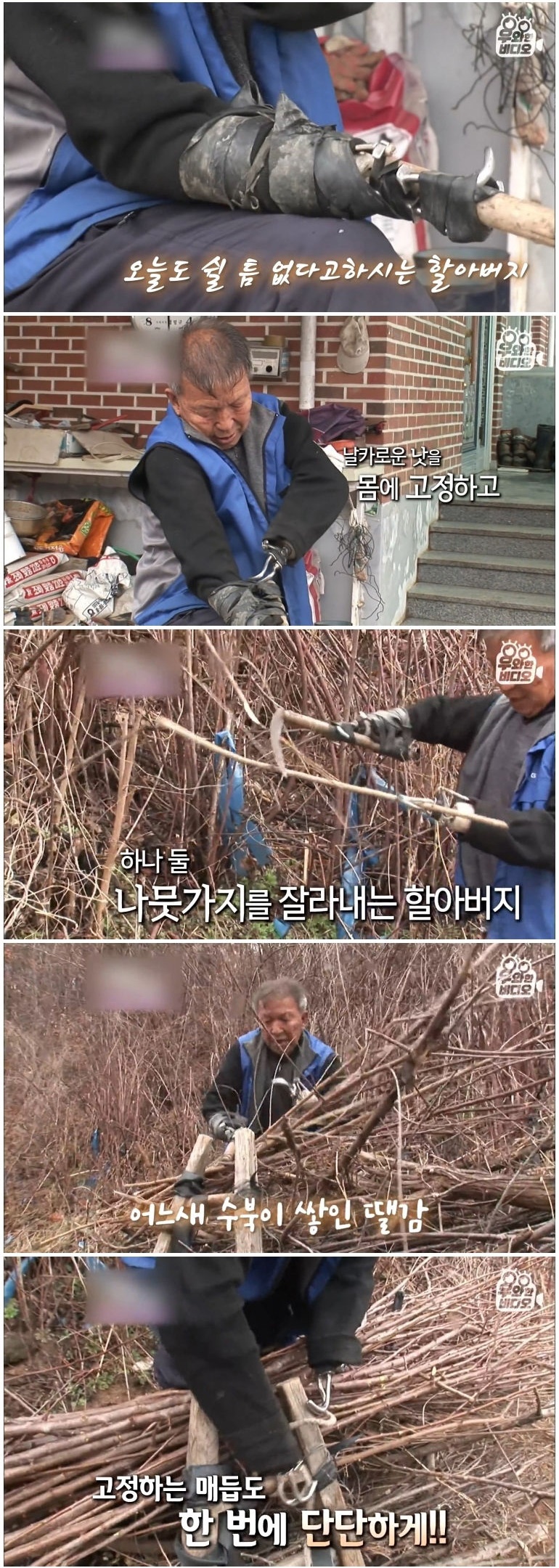 양팔 없이 갈고리 손만으로 장작 패는 남자 - 짤티비