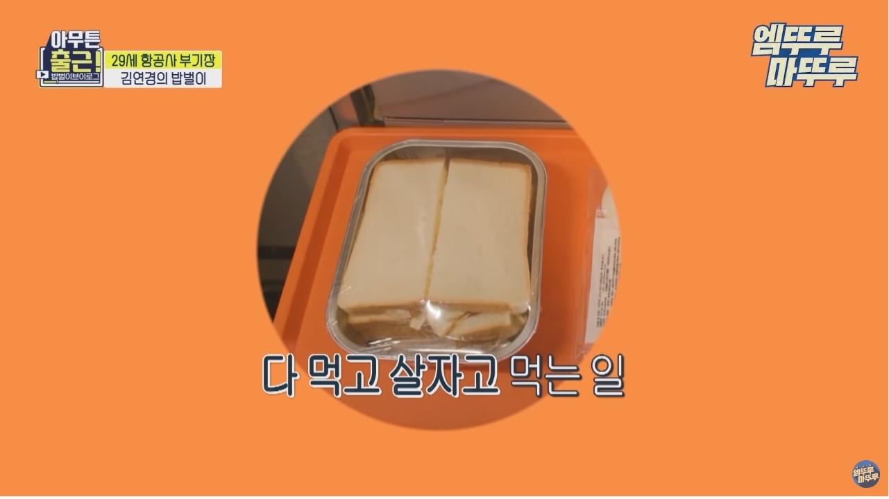 항공기 기장과 부기장이 항상 다른 메뉴를 먹는 이유 - 짤티비