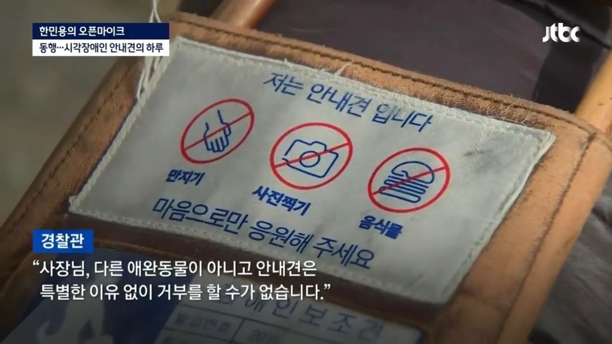 밥 먹으려다 하루에 7번 거절당하는 안내견의 하루 - 꾸르