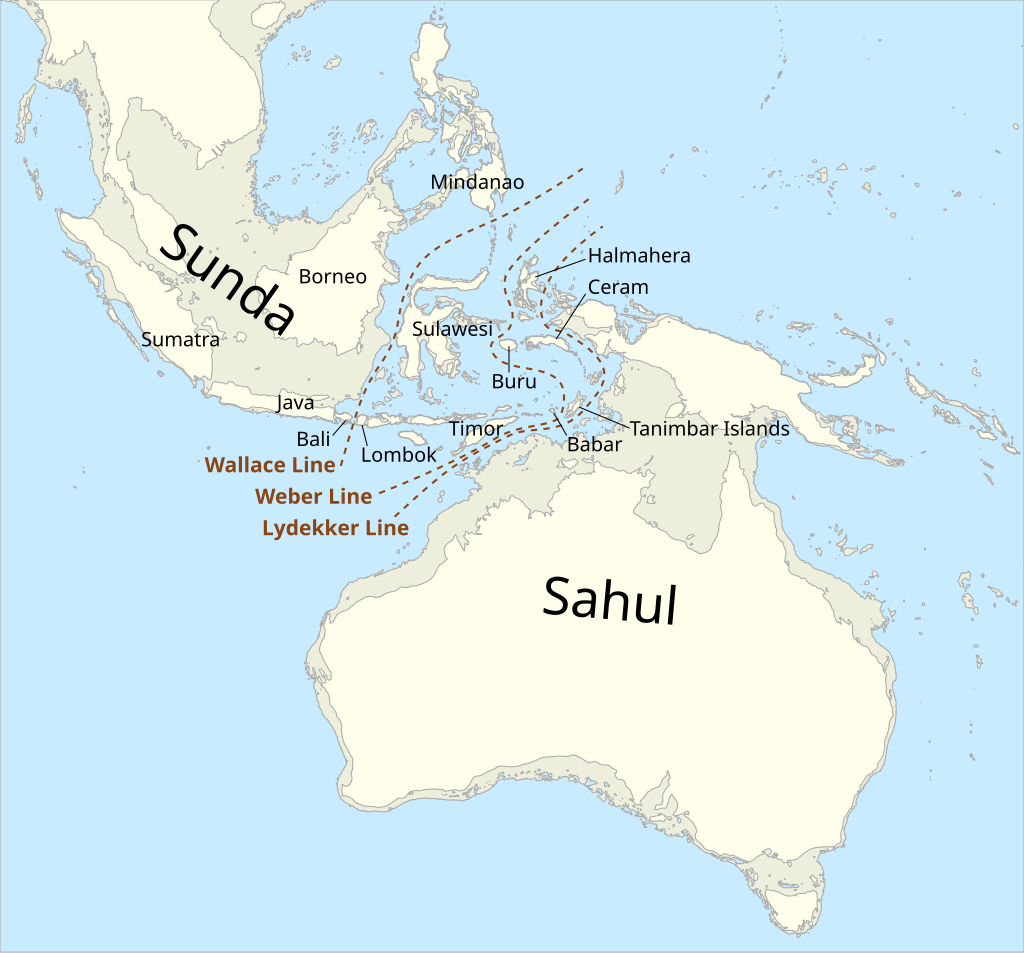 Map_of_Sunda_and_Sahul.svg.png 인류가 지구를 지배하게 된 이야기