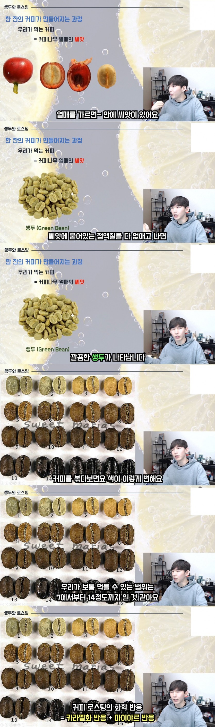 커피에서 신맛이 나는 이유