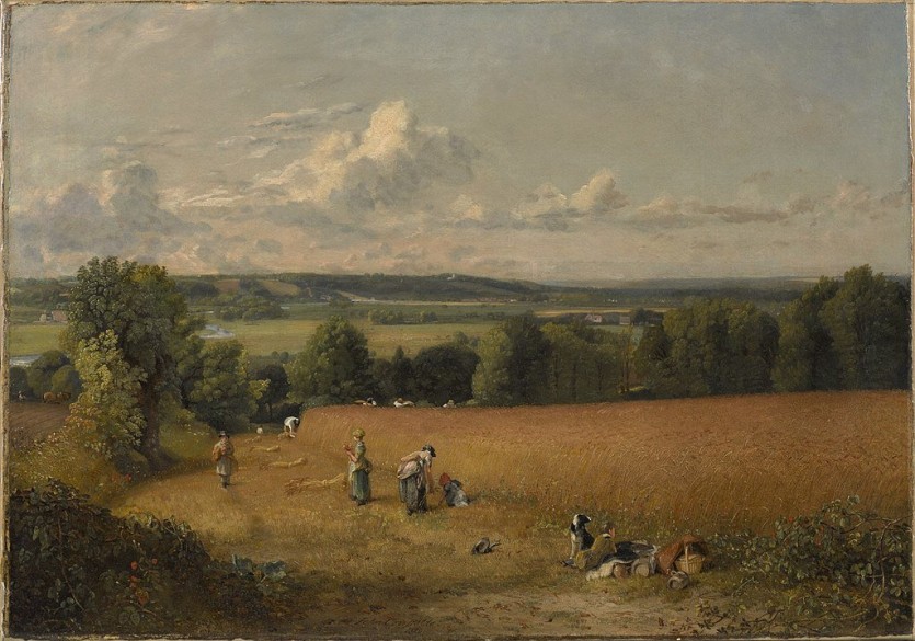 1024px-John_Constable,_The_Wheat_Field.jpg 중국의 서부개척시대, 남북조 시대를 알아보자