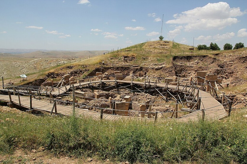 Göbekli2012-16.jpg 농경의 기원을 알아보자