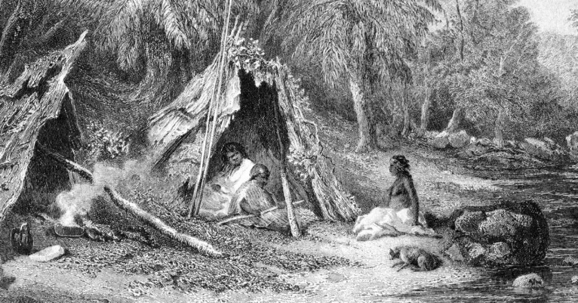 Native_Encampment_by_Skinner_Prout,_from_Australia_(1876,_vol_II).jpg 농경의 기원을 알아보자