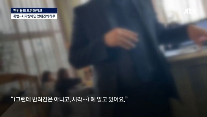 밥 먹으려다 하루에 7번 거절당하는 안내견의 하루 - 꾸르