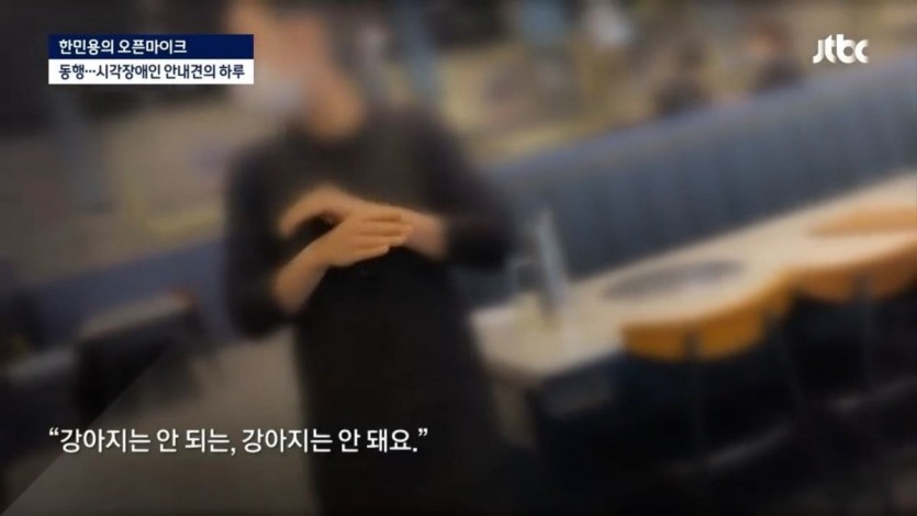 밥 먹으려다 하루에 7번 거절당하는 안내견의 하루 - 꾸르