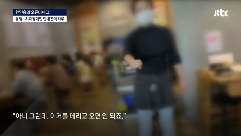 밥 먹으려다 하루에 7번 거절당하는 안내견의 하루 - 꾸르