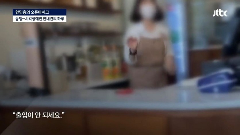 밥 먹으려다 하루에 7번 거절당하는 안내견의 하루 - 꾸르