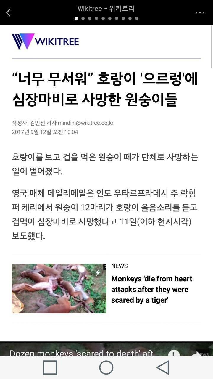 현실에 실존하는 패왕색 패기