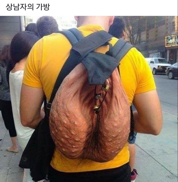 인싸되는 가방