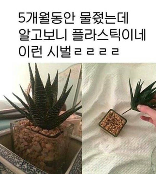 이런.......jpg