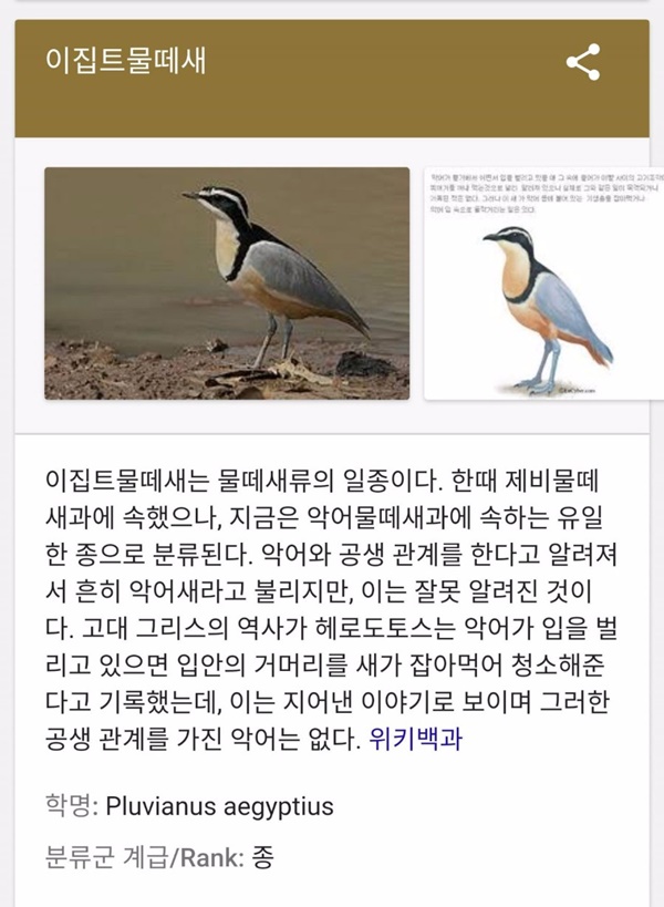 대부분이 잘못 알고있는 사실