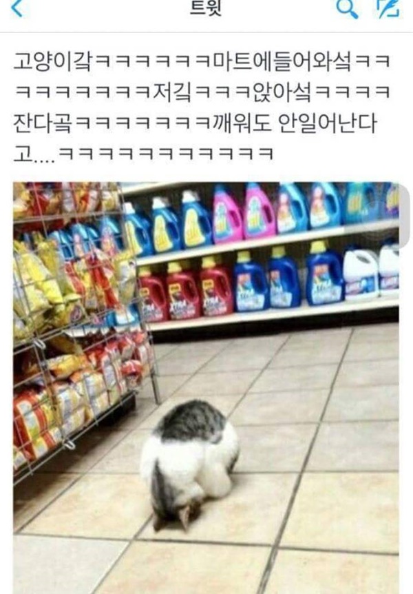 마트 진상