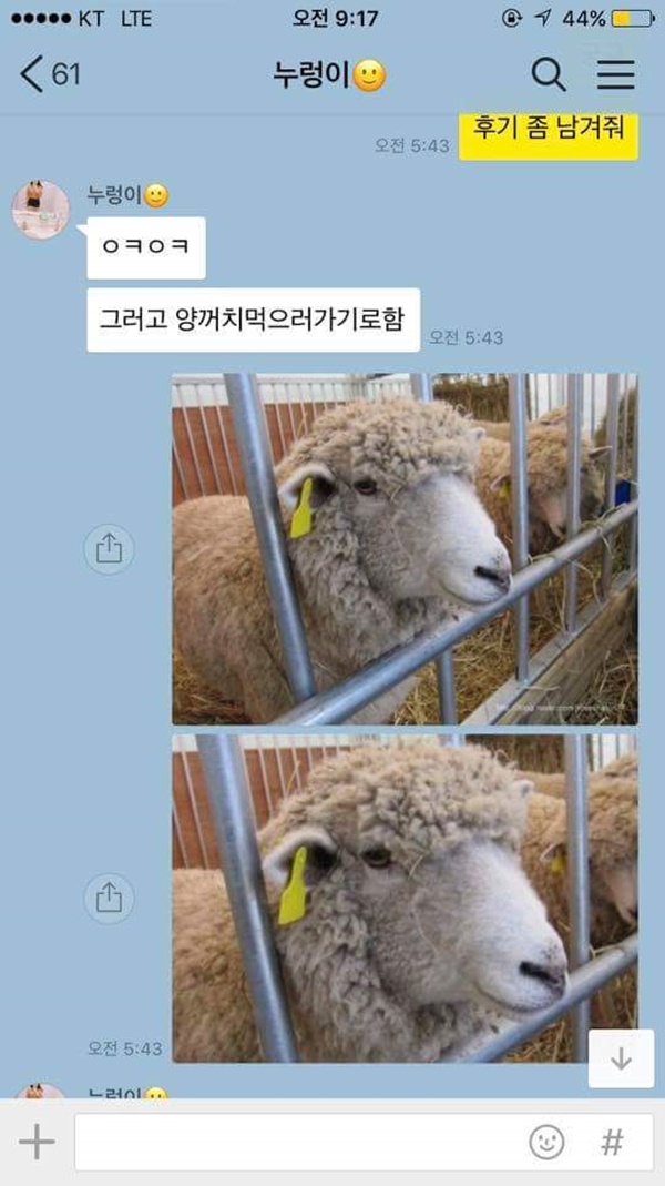 어떨결에 다이어트 도우미