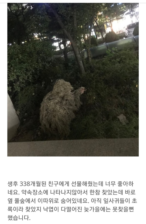 네이버 쇼핑의 후기