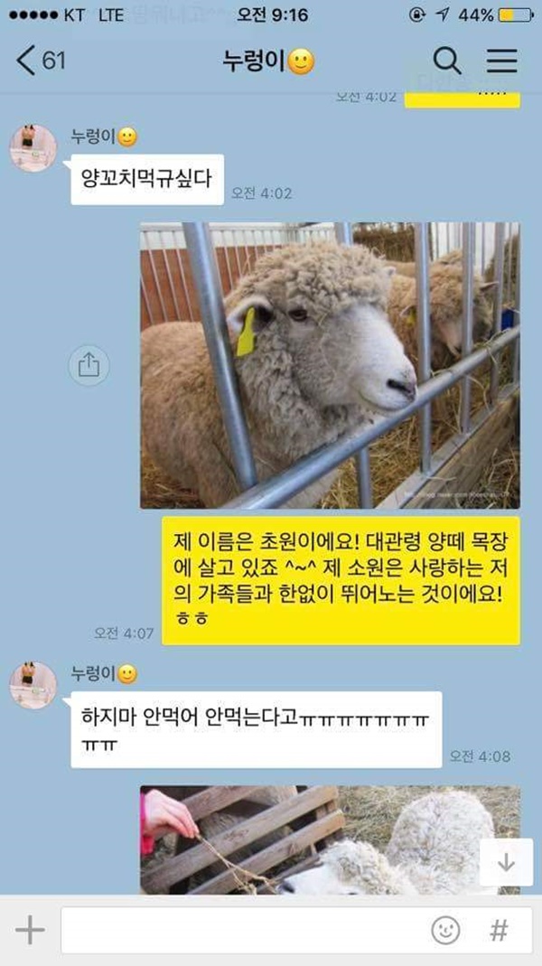 어떨결에 다이어트 도우미