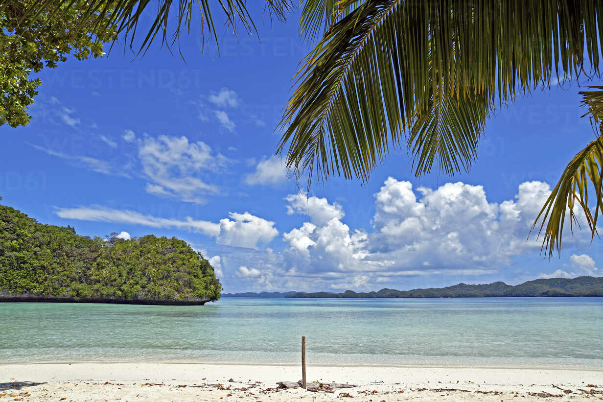 Palau, Rock Island, Tropical beach stock photo