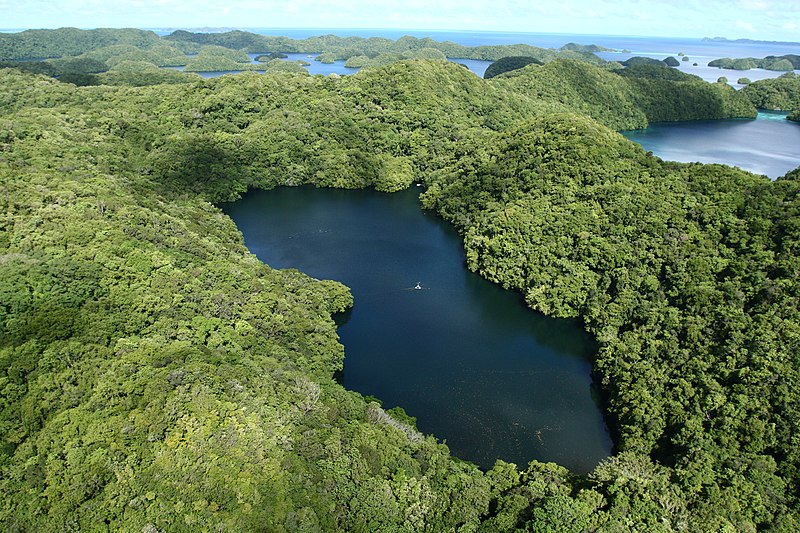 File:Jellyfish Lake aerial (March 2008).jpg