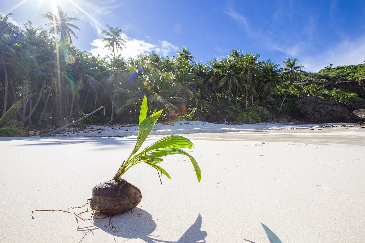 1280px-Dolly_Beach%2C_Christmas_Island.jpg