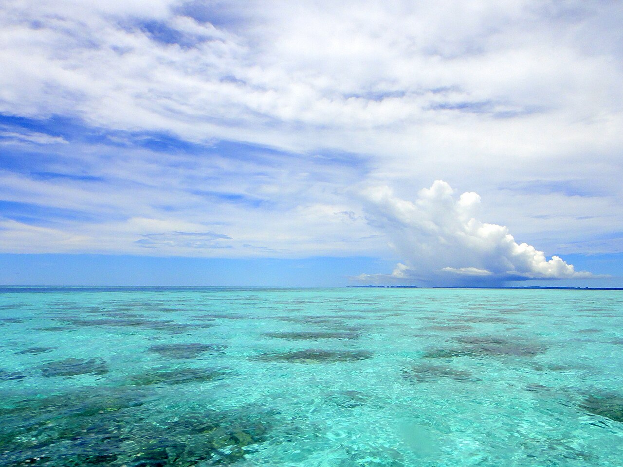 1280px-Shallow_water_reefs_in_Rock_Islands%2C_Palau_%289757367255%29.jpg