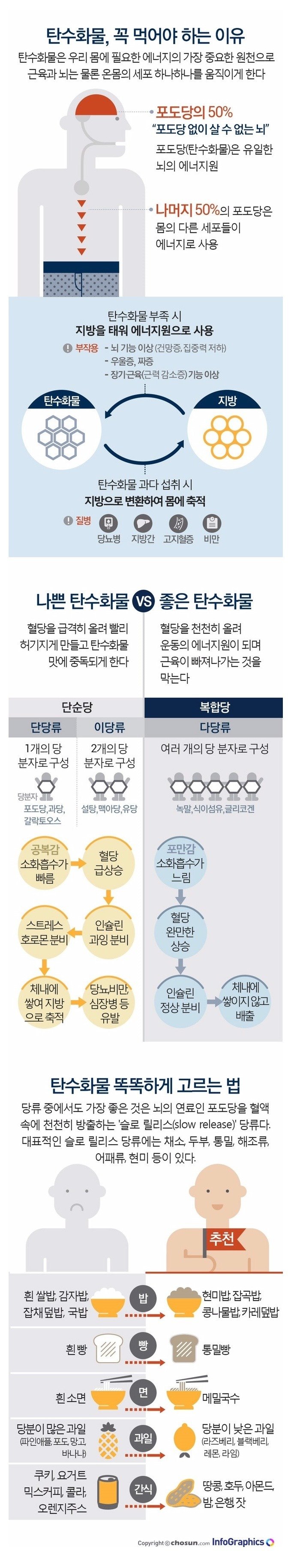 탄수화물 꼭 먹어야 하는 이유