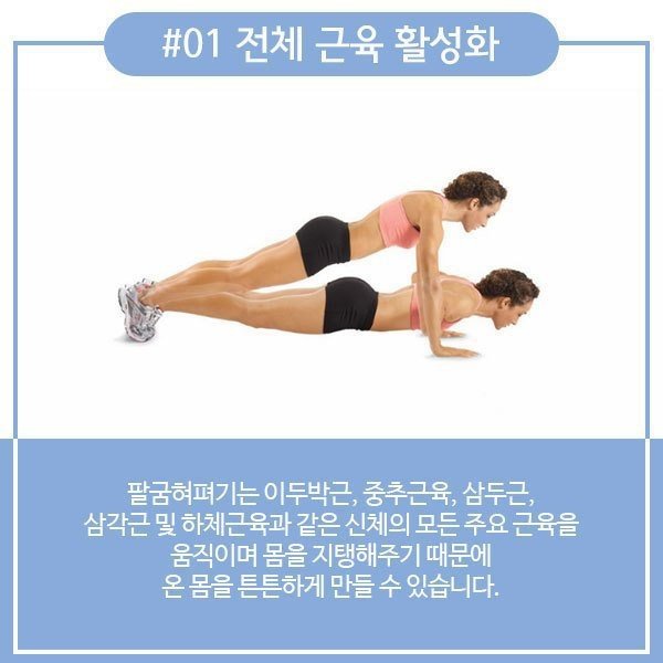 팔굽혀펴기 효과.jpg