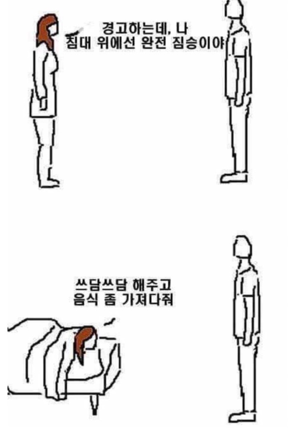 침대에서 짐승?