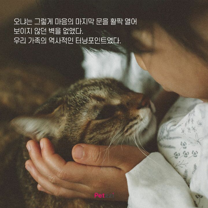 원본 크기로 보시려면 그림을 클릭하세요.