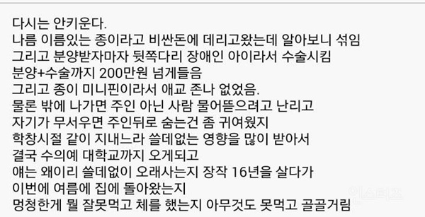 다시는 개를 키우지 않겠다