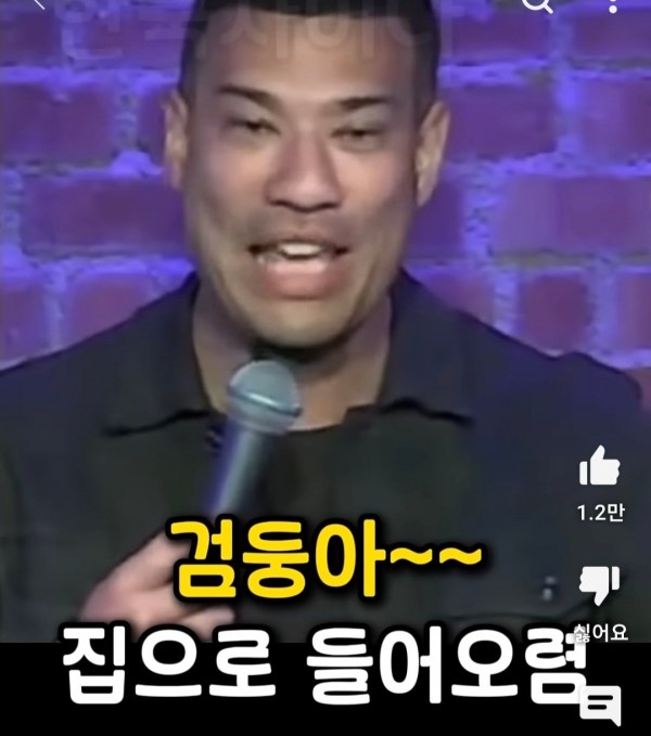 j15.jpg 미국에서 반려견 이름을 한국식으로 지으면 안되는 이유.jpg