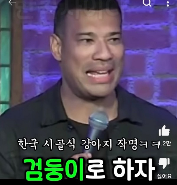 i5.jpg 미국에서 반려견 이름을 한국식으로 지으면 안되는 이유.jpg