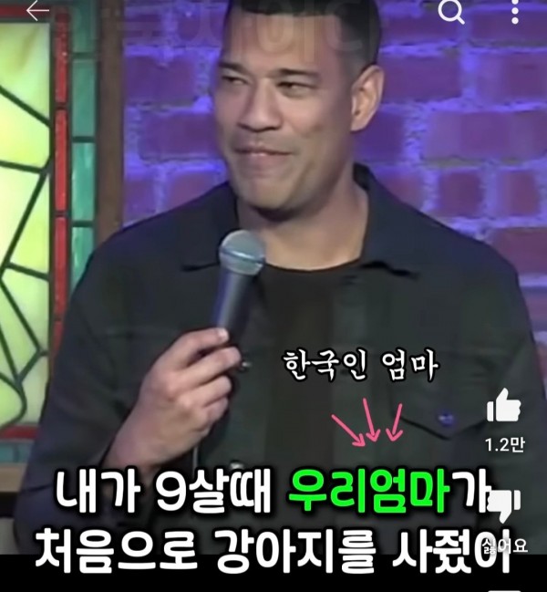 K.jpg 미국에서 반려견 이름을 한국식으로 지으면 안되는 이유.jpg