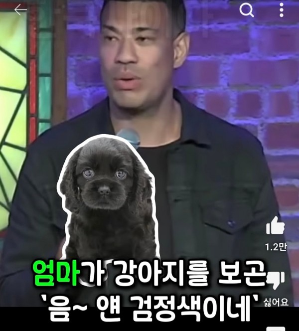 i4.jpg 미국에서 반려견 이름을 한국식으로 지으면 안되는 이유.jpg