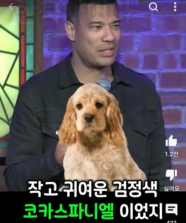 k1.jpg 미국에서 반려견 이름을 한국식으로 지으면 안되는 이유.jpg