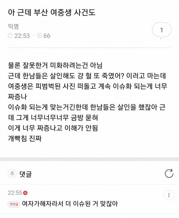 부산여중생 사건에 관한 여초의 반응