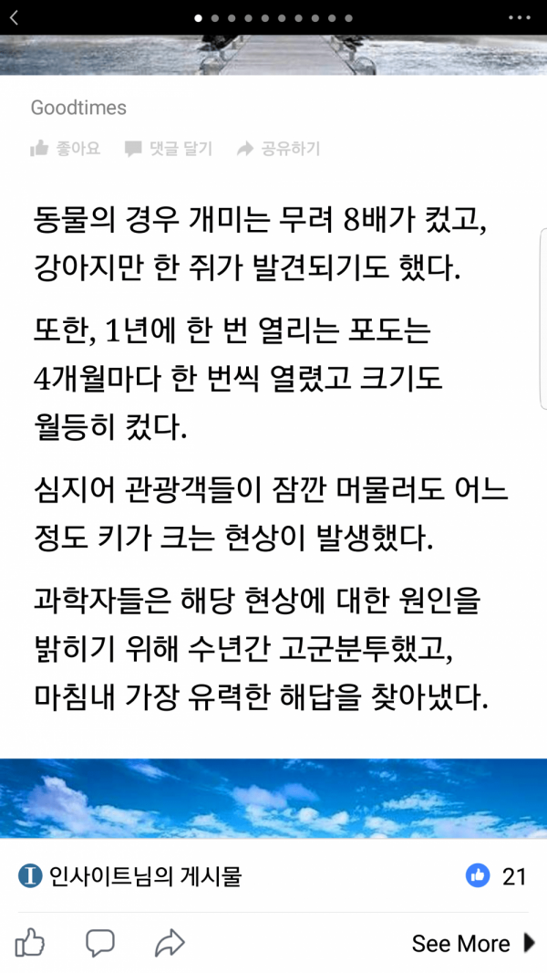 이섬에 가면 키가 커진다고?