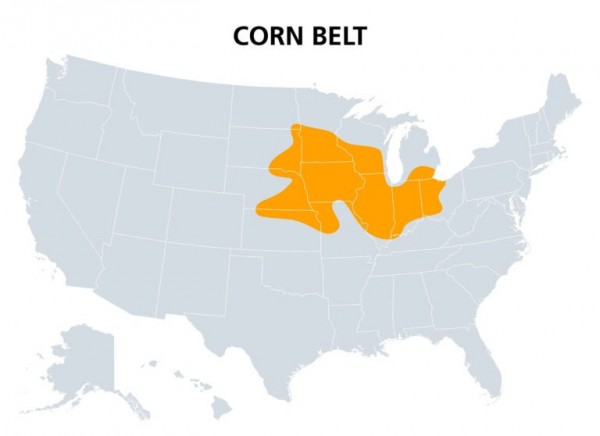 1728439249_corn_belt.jpg