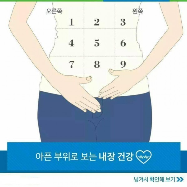 01.jpg 아픈부위로 보는 내장건강