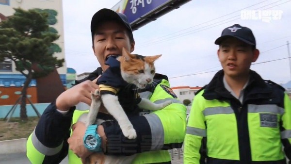 2.jpg 강서경찰서에 사는 고양이들