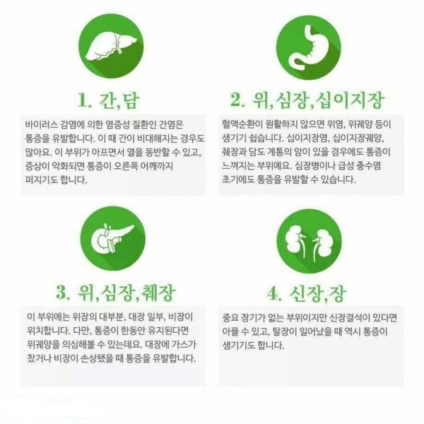 02.jpg 아픈부위로 보는 내장건강