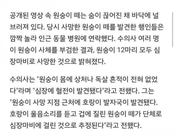 현실에 실존하는 패왕색 패기